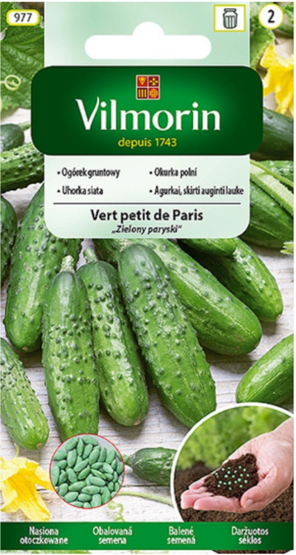 Vilmorin Ogórek gruntowy Vert prtit de Paris nasiona otoczkowane 2 sklep rajogrodnika